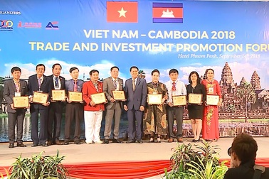 FrieslandCampina Việt Nam được vinh danh tại Lễ trao giải Châu Á – Asia Awards 2018