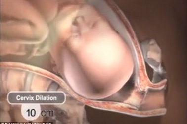 Sự điều chỉnh kì diệu của cơ thể người mẹ khi sinh nở