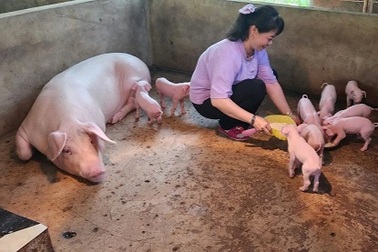 Cà Mau đẩy mạnh truyền thông giảm nghèo đa chiều