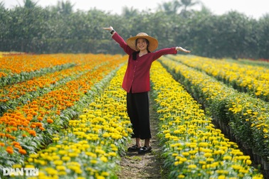 Khách đi tour trở lại, du lịch theo nhóm "lên ngôi" dịp đầu năm