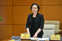 Dự án Luật về Hội đang chờ ý kiến chỉ đạo của Bộ Chính trị