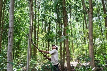 Truyền thuyết về thung lũng Rắn