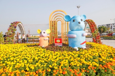 Đường hoa xuân rực rỡ nơi xứ biển Tây Nam