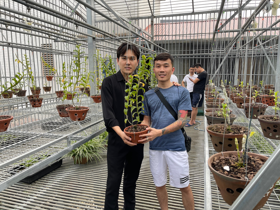 Nghệ nhân Tạ Quang Bộ và bí quyết thành công với việc trồng và chăm sóc lan - 3 Nghệ nhân Tạ Quang Bộ và bí quyết thành công với việc trồng và chăm sóc lan - 3