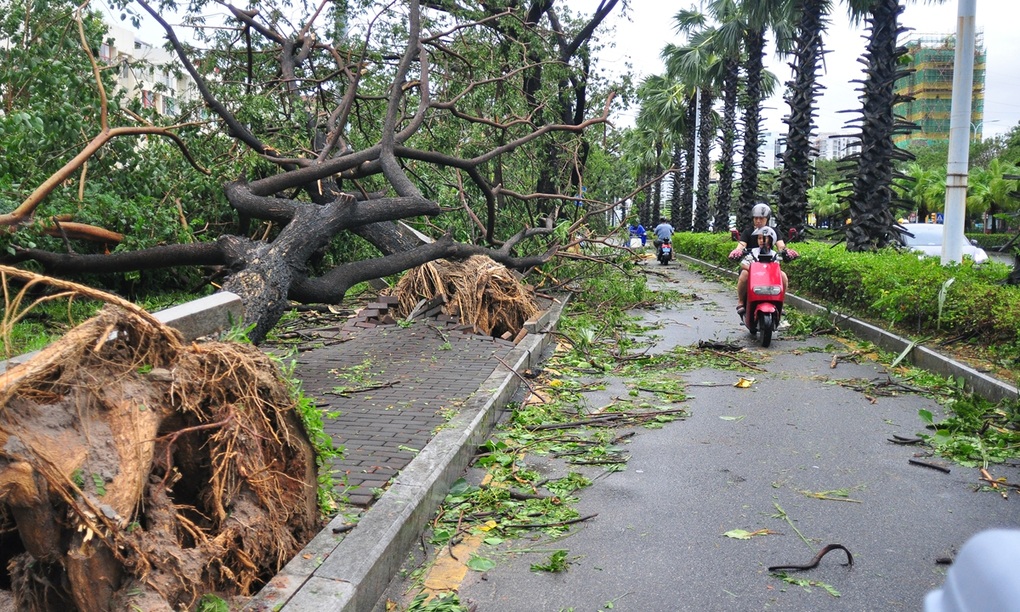 Kajiki có thể là bão mạnh nhất 40 năm đổ bộ thành phố của Trung Quốc - 1 Kajiki có thể là bão mạnh nhất 40 năm đổ bộ thành phố của Trung Quốc - 1