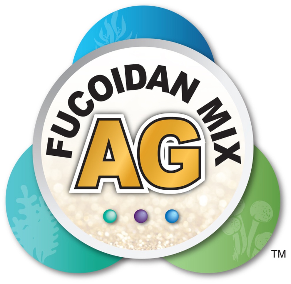 Fucoidan Umi No Shizuku thực phẩm bảo vệ sức khỏe uy tín cho người sử dụng - 1 Fucoidan Umi No Shizuku thực phẩm bảo vệ sức khỏe uy tín cho người sử dụng - 1