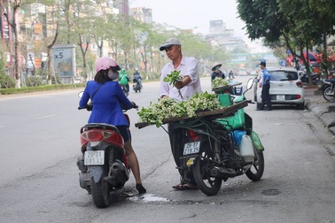 Hoa bưởi đầu mùa xuống phố, giá 300.000đ/kg vẫn “cháy hàng”