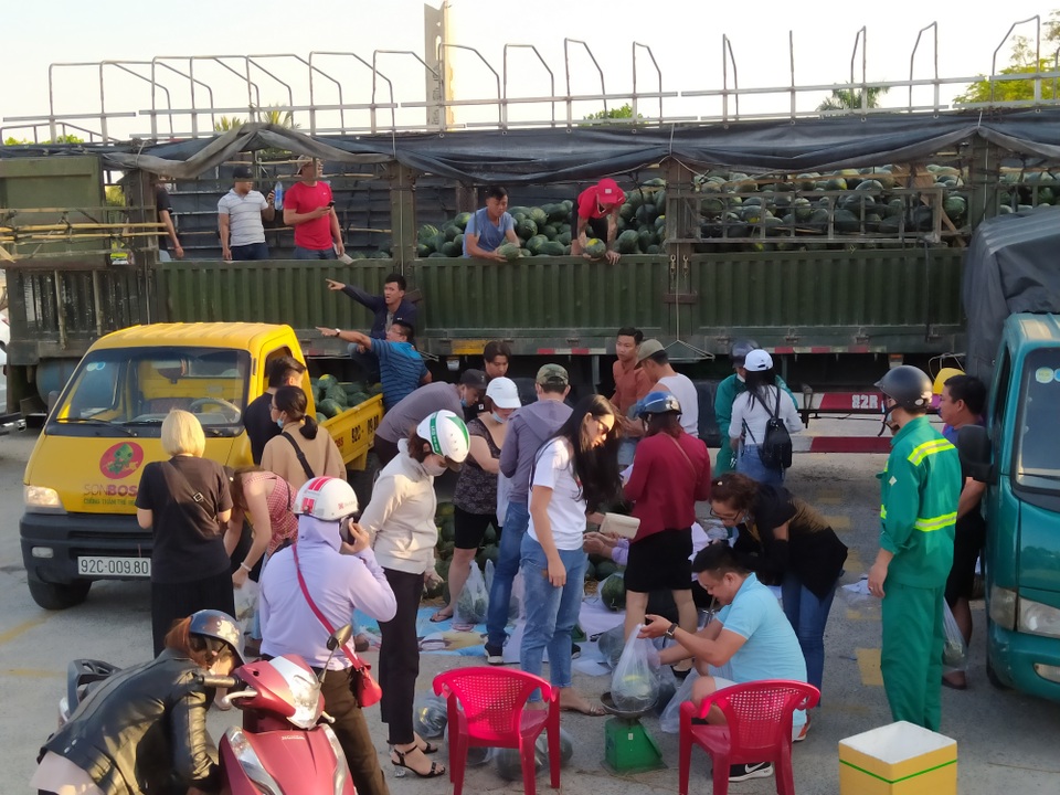 Người Đà Nẵng “giải cứu” dưa hấu cho nông dân Kon Tum - 2 Người Đà Nẵng “giải cứu” dưa hấu cho nông dân Kon Tum - 2