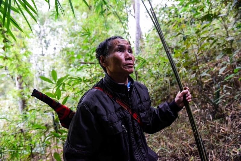 Người đàn ông vào rừng ở ẩn để giữ khèn bè truyền thống - 2