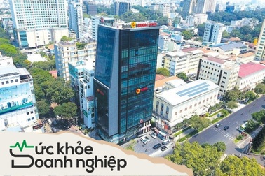 Doanh nghiệp được nữ sinh 19 tuổi chi trăm tỷ mua cổ phiếu làm ăn ra sao?