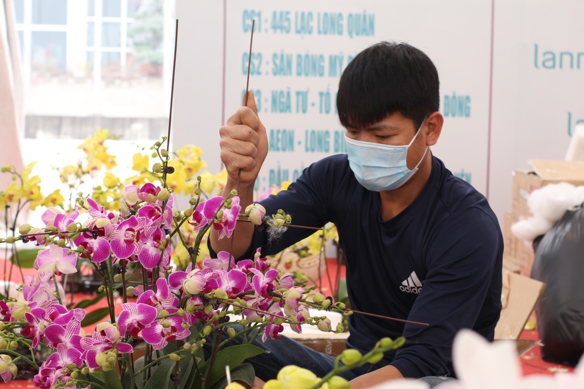Siêu phẩm gỗ lũa cõng lan hồ điệp 300 triệu đồng, hàng độc đại gia chơi Tết - 11 Siêu phẩm gỗ lũa cõng lan hồ điệp 300 triệu đồng, hàng độc đại gia chơi Tết - 11
