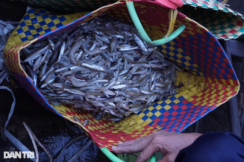 Nghề ăn phù sa đếm từng ngày ngóng mùa lộc trời ban - 5 Nghề ăn phù sa đếm từng ngày ngóng mùa lộc trời ban - 5