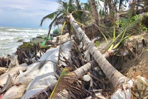 Bờ sông, bờ biển sạt lở nặng, Đà Nẵng công bố tình huống thiên tai khẩn cấp