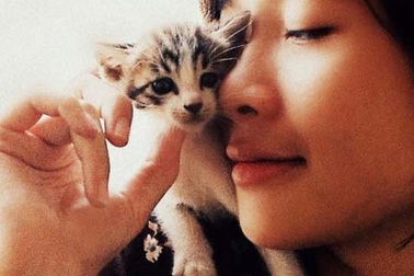 Cô gái 9X làm giàu từ quán “cà phê Mèo”