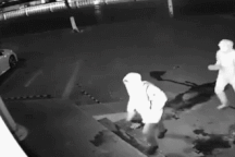 Clip “tai nạn siêu hài hước của hai tên trộm” gây sốt tuần qua