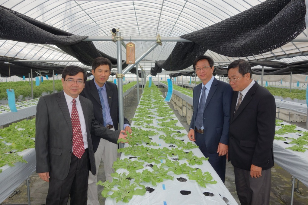Trường đại học Việt Nam trồng loại rau giá 7 triệu đồng/kg - 2 Trường đại học Việt Nam trồng loại rau giá 7 triệu đồng/kg - 2