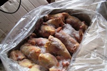 Tiêu hủy hơn 11 tấn gà nhập khẩu từ Hàn Quốc   