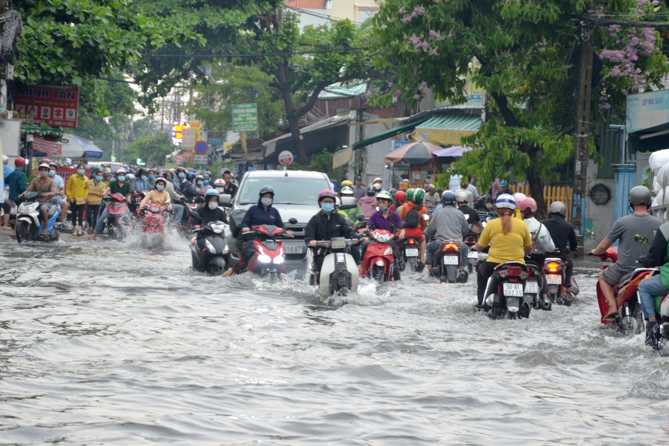 TPHCM mưa trắng trời, đường ngập, cây đổ khắp nơi - 1 TPHCM mưa trắng trời, đường ngập, cây đổ khắp nơi - 1