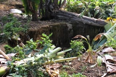 Dân hoang mang trước hiện tượng sụt lún bất thường