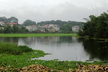 Đi hái rau muống bị lật thuyền chết đuối