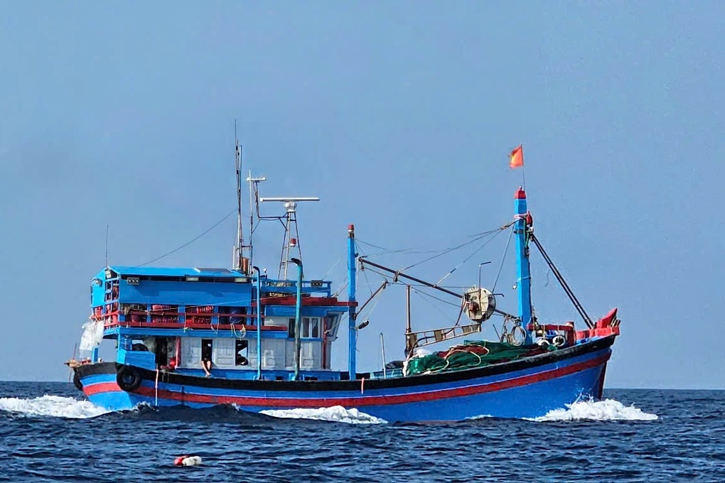 Ngư dân Lâm Đồng vươn khơi, hứa hẹn bội thu “lộc trời” - 1