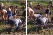 Tranh cãi nhóm nữ du khách mặc bikini cấy lúa giúp nông dân ở Bali