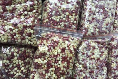 Ngô nếp bung bỗng thành đặc sản: Dân buôn bán cả tạ, thu bộn tiền