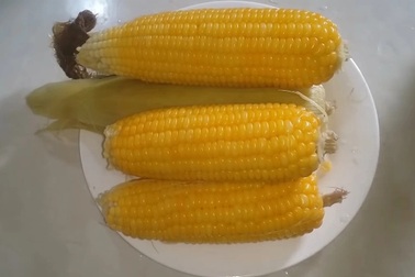 Vì sao thanh niên đi mua bắp bị đề xuất phạt tới 3 triệu đồng?