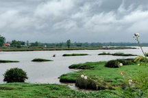 Cứu bạn ngã xuống sông, một thiếu niên đuối nước