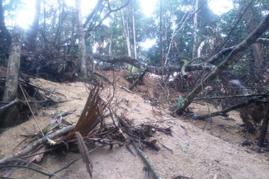 Vụ “xới tung” rừng để tìm đá quý: Băng nhóm bảo kê hoạt động khai thác