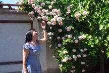 Ngôi nhà phủ kín hoa hồng "đẹp không rời mắt" của nữ Việt kiều ở Hungary