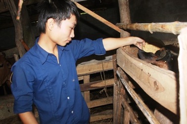 Cảm phục nam sinh cứu người trong lũ dữ