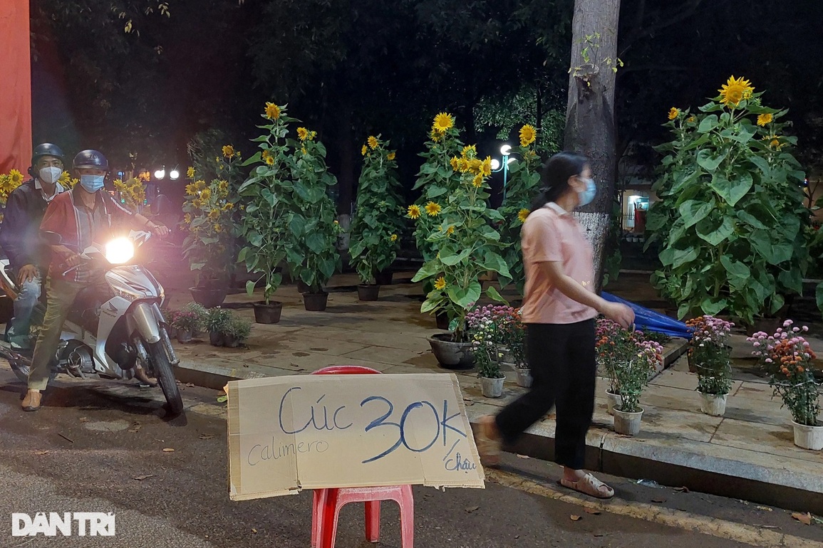 Chợ hoa đêm giao thừa, người mua vẫn giằng co từng đồng - 3 Chợ hoa đêm giao thừa, người mua vẫn giằng co từng đồng - 3