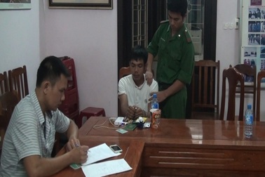 Vận chuyển gần 800 viên ma túy giấu trong vỏ hộp sữa qua biên giới