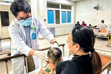 Bé 5 tuổi bị chó becgie cắn vào đầu, lộ cả xương sọ
