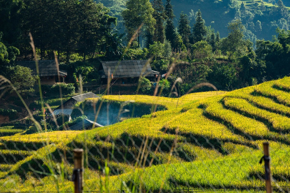 Sa Pa quyến rũ mùa lúa thay màu! - 7 Sa Pa quyến rũ mùa lúa thay màu! - 7