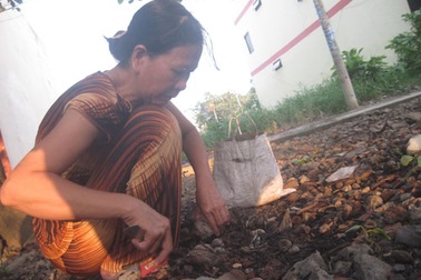 Nghề "độc" mưu sinh