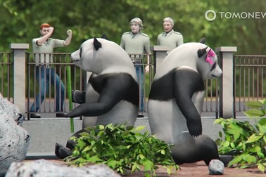 Cạn kiệt tiền bạc, vườn thú cân nhắc việc "xẻ thịt" động vật làm nguồn thức