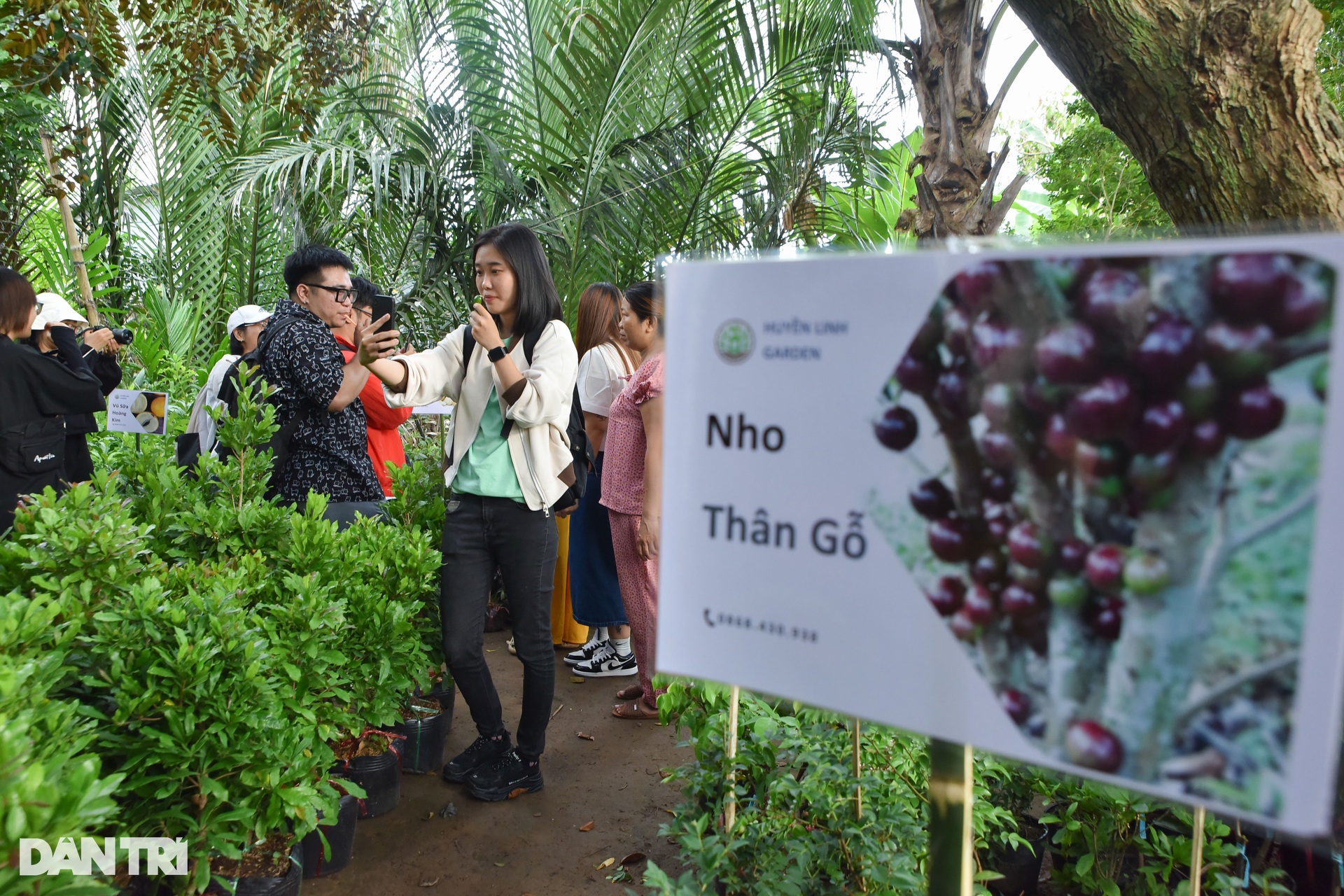 TikToker hỗ trợ kênh giao thương cho nông sản miền Tây dịp Tết - 8 TikToker hỗ trợ kênh giao thương cho nông sản miền Tây dịp Tết - 8