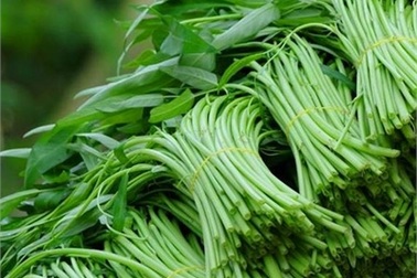 Cách ăn rau muống đúng cách để loại bỏ độc tố