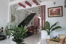 Ảnh dự thi số 1: Nhà vườn trong lòng thành phố “đáng sống nhất Việt Nam”