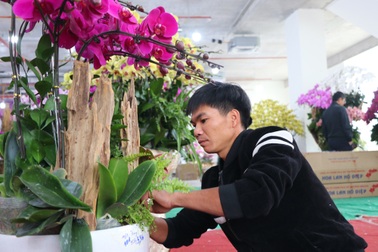 Làm 15 ngày Tết, thợ cắm hoa ngoại tỉnh bỏ túi 100 triệu đồng