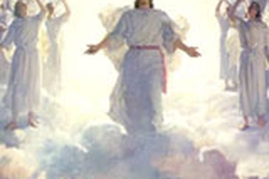 Phỏng vấn... Chúa