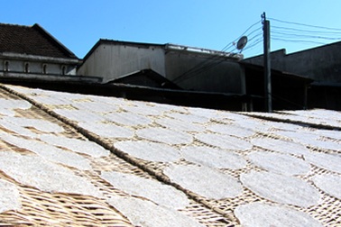 Nghề làm bánh tráng nước cốt dừa Hoài Nhơn