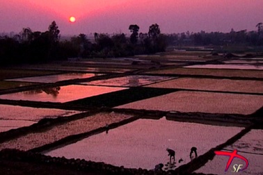 LHP Tài liệu Châu Âu - Việt Nam lần thứ 4 tại Việt Nam 