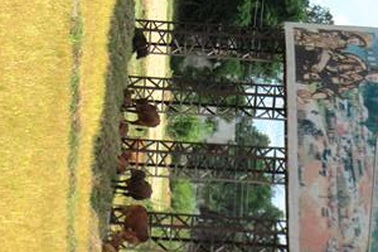 Người “há miệng thở”, sông hồ khô cạn vì nắng nóng