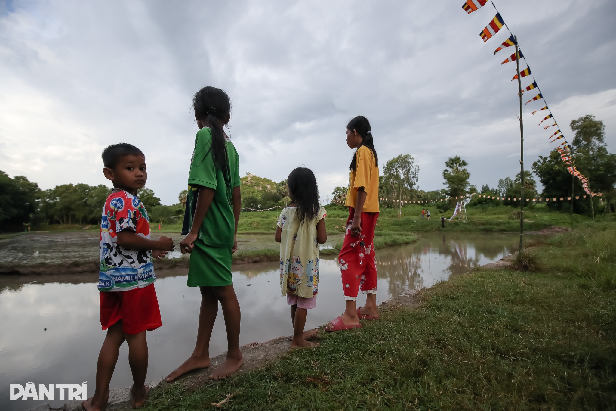 Ro Pagoda Bull Racing Festival មុនម៉ោងចាប់ផ្តើម - ៩ Hội đua bò chùa Rô trước giờ khởi tranh - 9