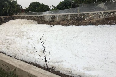 Kênh tưới tiêu nổi bọt trắng xóa, dày đặc như bông tuyết