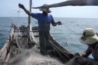 Thu tiền triệu mỗi ngày nhờ đánh bắt tôm tít