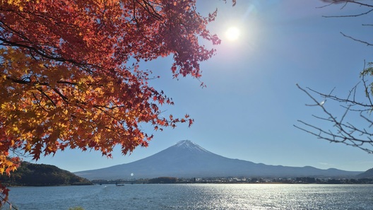 Nhật Bản: Kawaguchiko vào mùa đẹp nhất năm với hàng phong nhuộm đỏ quanh hồ